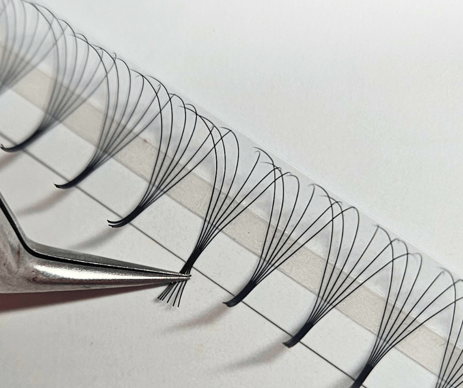 Flexi Bottoms - 1200 Pro made Loose Bottom Fans 6D - What the Fluff! Lashes and Brows